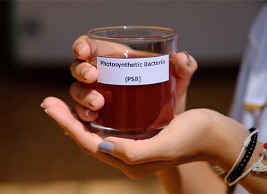 進(jìn)出口原料